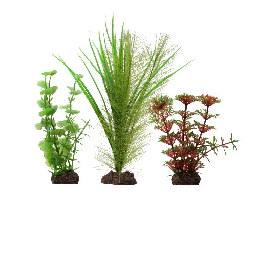 Plante Aqualife Fluval avec base de pierre - Limnophila rouge - Ensemble de 3 plantes - 10-20 cm (4-8 po)