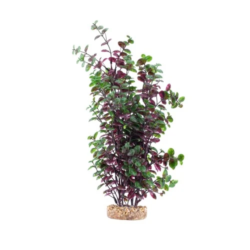 Plante Aqualife Fluval avec base de gravier - Bacopa rouge - 35,5 cm (14 po)