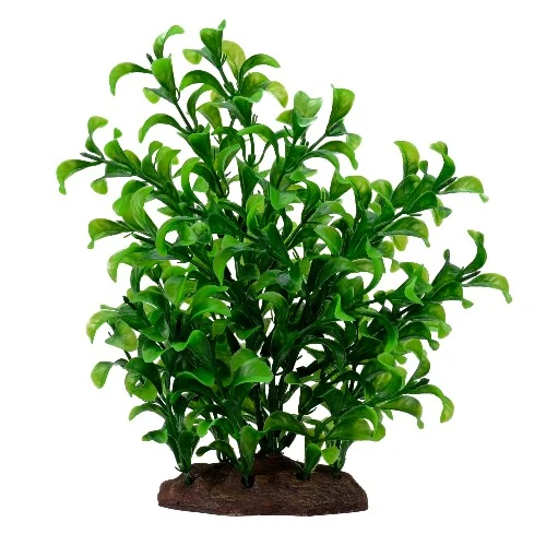 Plante Aqualife Fluval avec base de pierre - Grand bacopa - 20 cm (8 po)