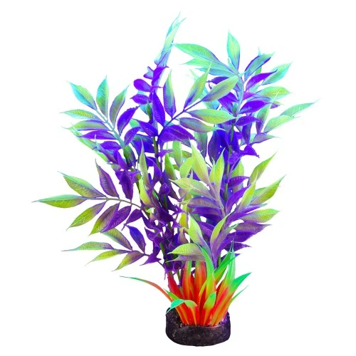 Plante iGlo Marina, 19 cm (7,5 po)