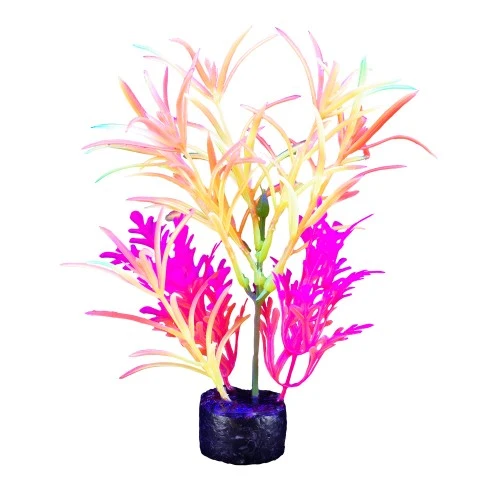 Plante iGlo Marina, 19 cm (7,5 po)
