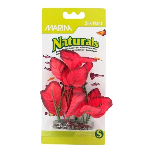 Plante d’avant-plan Naturals Marina en soie, rouge, 12,5-15 cm (5-6 po)