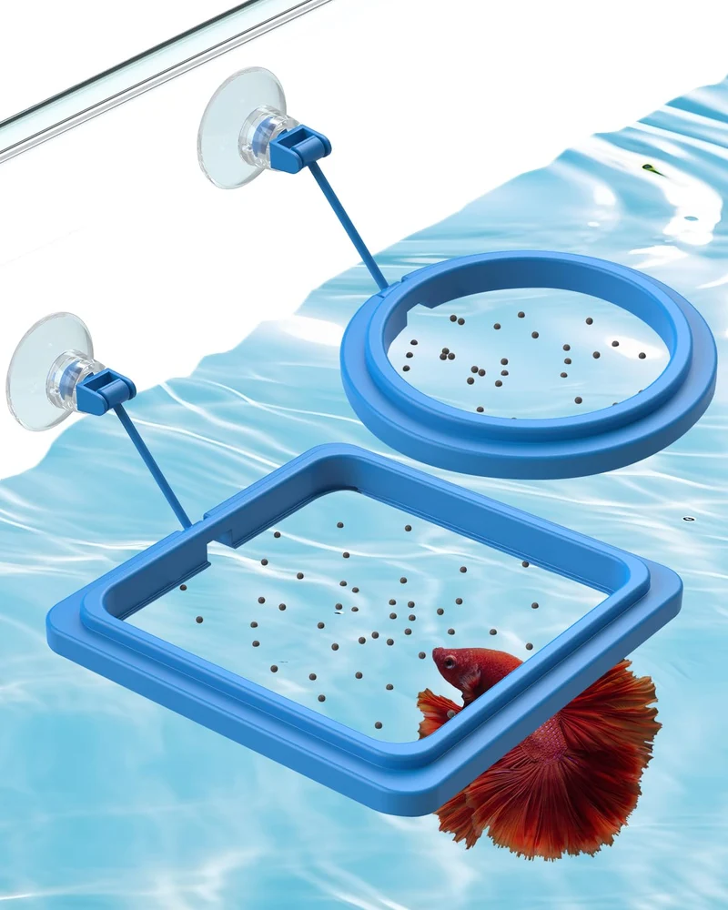 Pawfly – 2 Anneaux Nourrissage Poisson Flottants (Rond et Carré) avec Ventouse