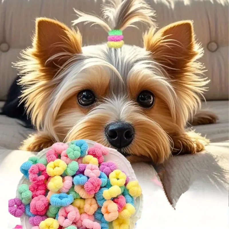 cuchenhuan – 100 pièces élastiques mini pour chiens, couleurs candy, sans tirer le poil
