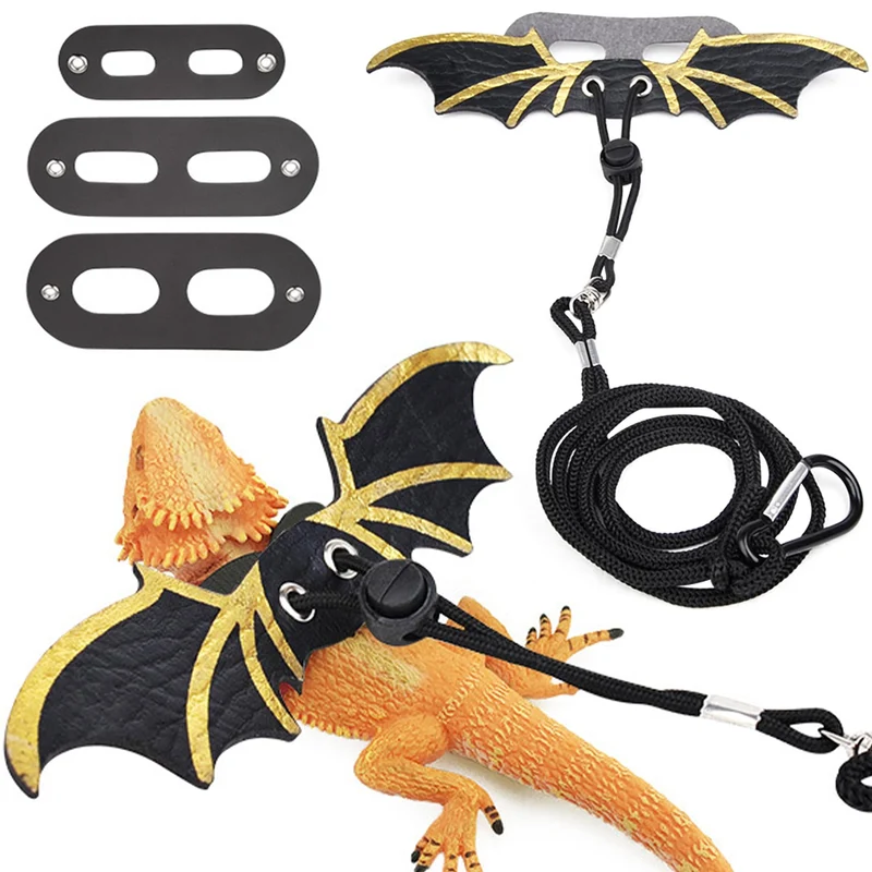 ZukoCert Harnais et Laisse pour Dragon Barbu — Pack 3 Tailles, Cuir Doux, Noir
