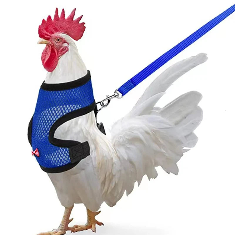 Arbootjin Harnais Poulet Bleu (M) avec Laisse – Confort et Respiration