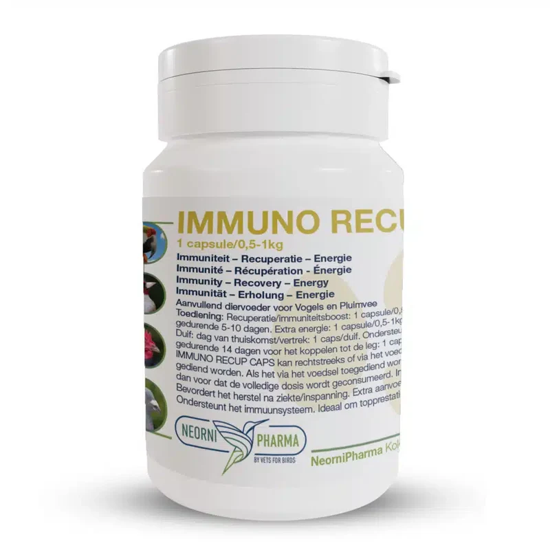 Immuno Recup Caps 100caps - Neornipharma (sur commande)