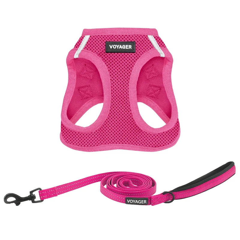 Best Pet Supplies Voyager Harnais Air Maillage Fuchsia et Laisse 5 Pieds – Pour Chiens de Toutes Tailles