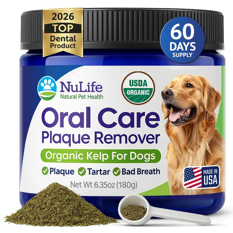 NuLife Poudre Dents Chiens – Nettoyage Dentaire Naturel, Haleine Fraîche, Kelp Biologique USDA, 6 oz
