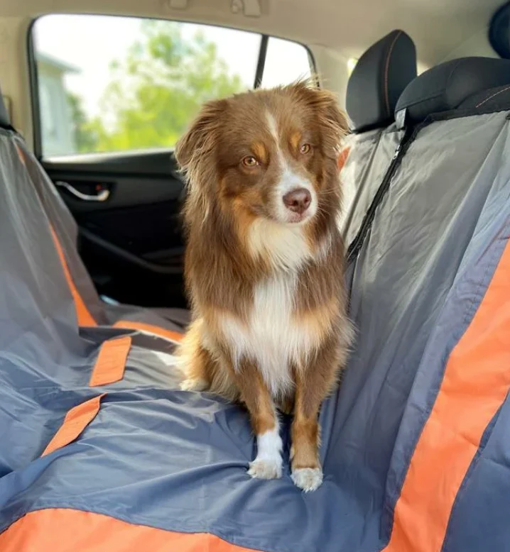 Bud'z Housse De Protection Pour Sièges D'auto, Gris Et Orange 53"x63"