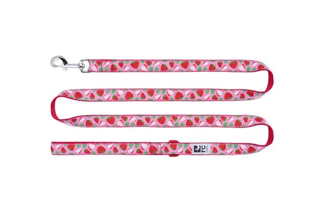 Laisse RC Pet - Fraises