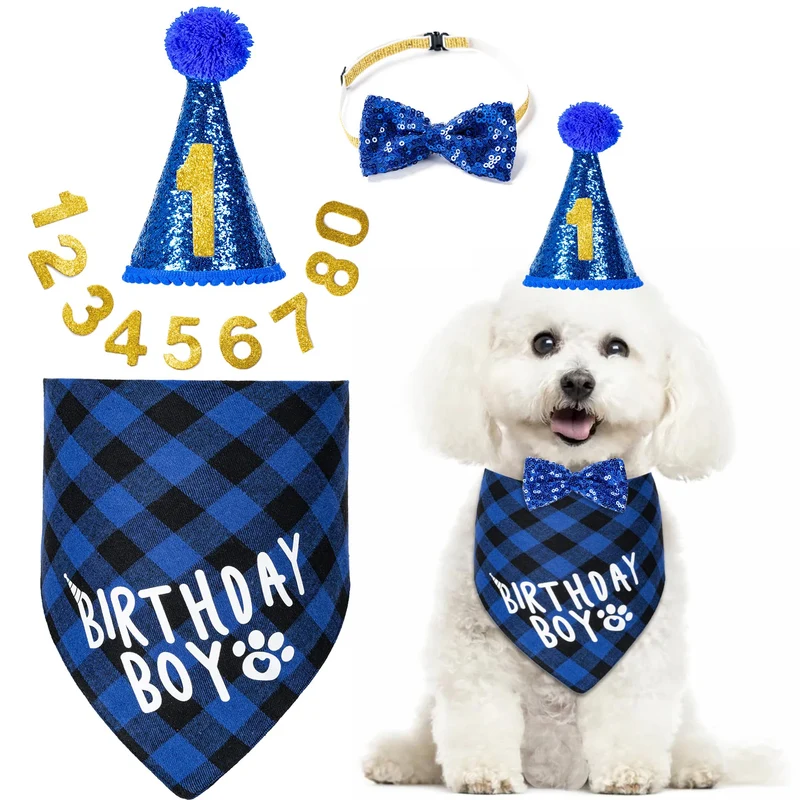 Hoewina Kit Anniversaire Chien – Chapeau, Bandana, Noeud Papillon et Collier 0-8 (Bleu, Grand)