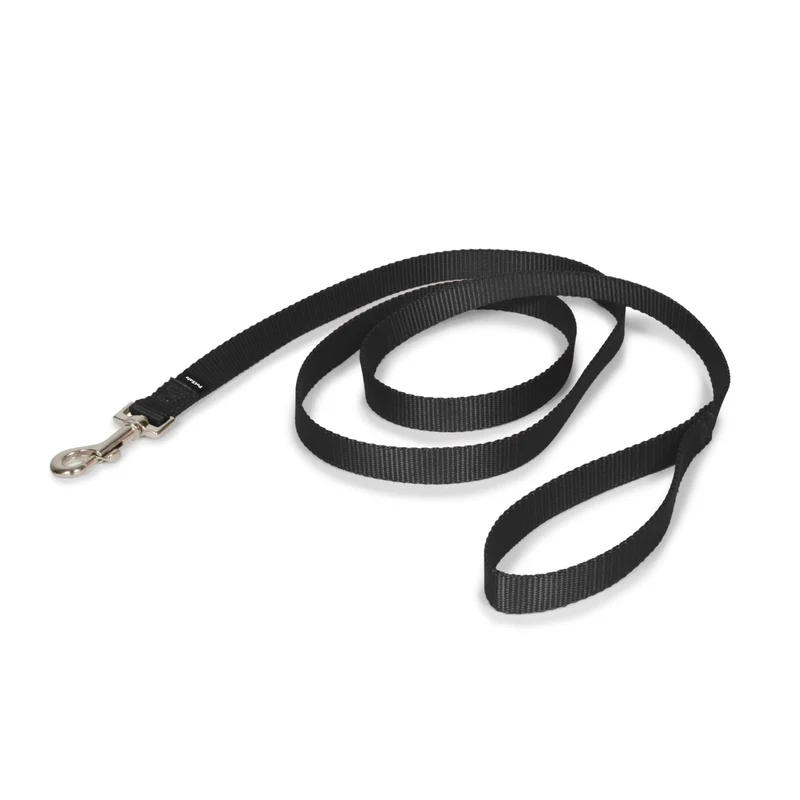 PetSafe Laisse Nylon – Solide et Légère, 3/4 Pouce x 6 Pieds – Noir