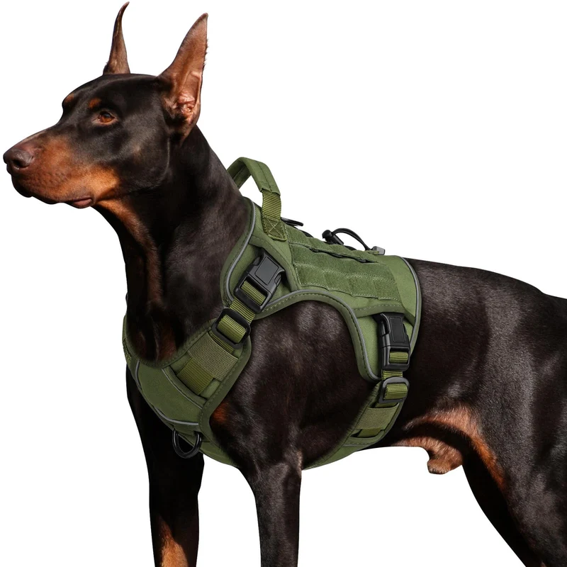 Wingoin Harnais Tactique pour Chien Grand — Anti-Tirage, Poignée et Réflectif (Vert)