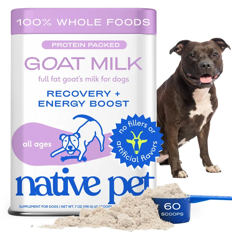 Native Pet Lait de chèvre en poudre pour chien — énergie, récupération et hydratation