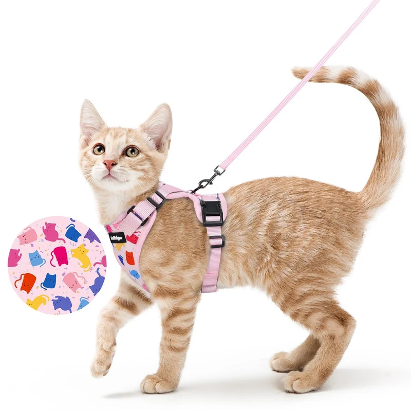 Rabbitgoo Harnais et Laisse pour Chat — Anti-fuite, Confort Respirant, Rose Pâle, Taille S