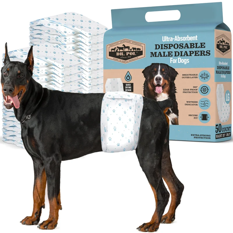 Dr. Pol Couches pour Chiens Mâles – Absorption Élevée, Respirantes, Anti-Fuites, Indicateur d’Humidité – Taille Large (50 unités)