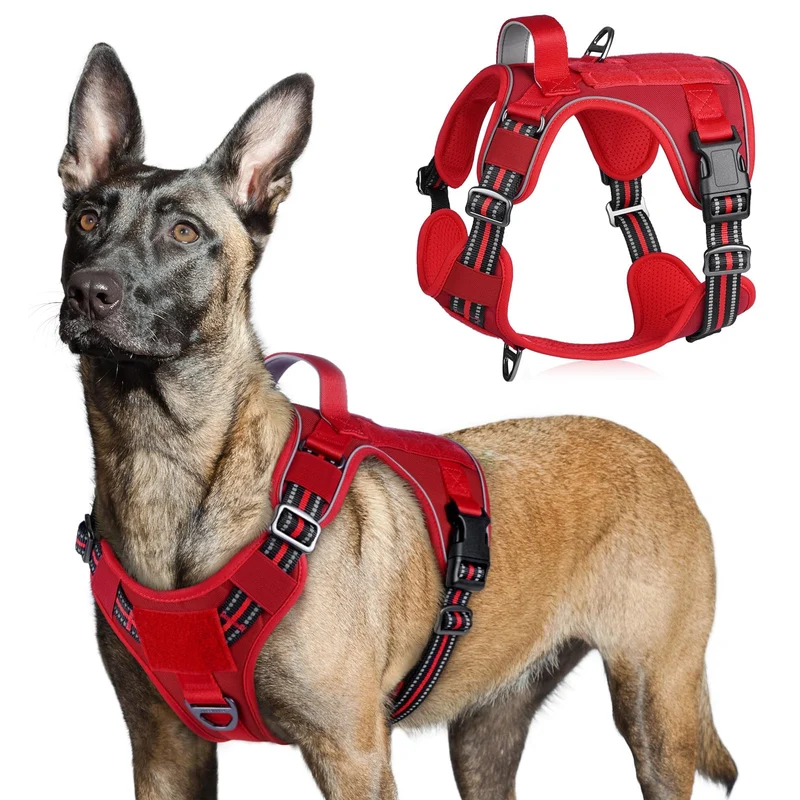 rabbitgoo Harnais Tactique Grands Chiens – Anti-Tirage, Poignée & MOLLE, Rouge, Taille L