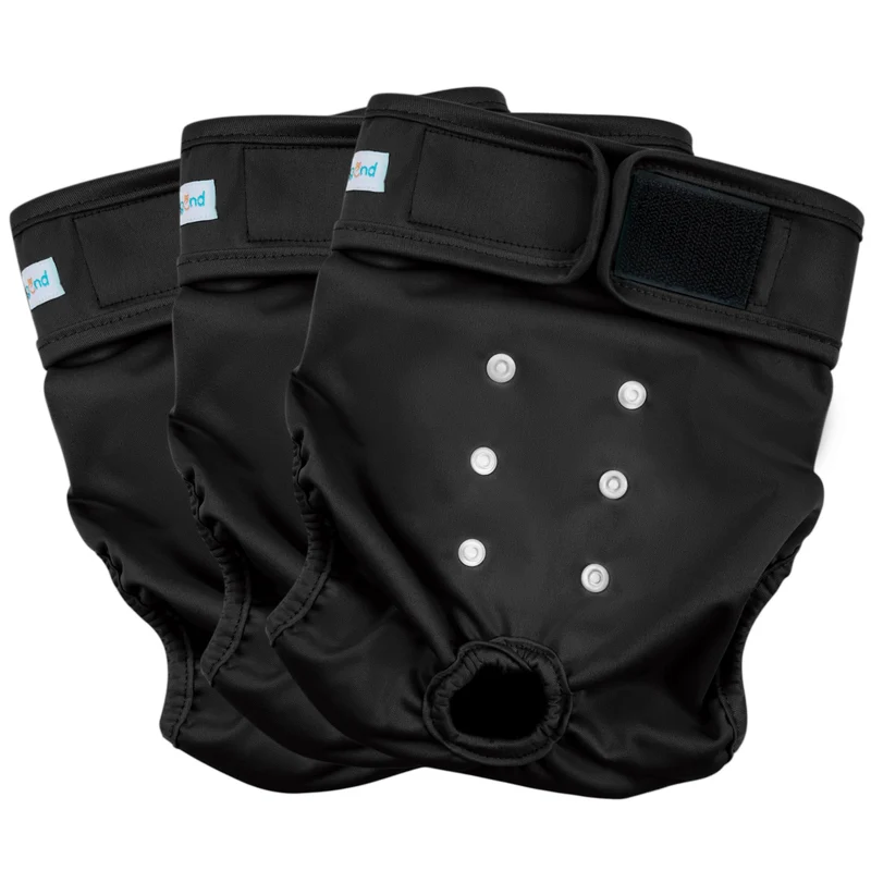 Paw Legend Couches Lavables pour Chiennes en Chaleur – Lot de 3 (Taille Large)