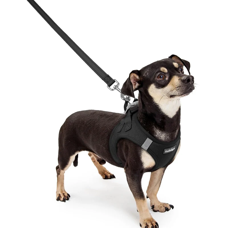 rabbitgoo Harnais pour chien XXXS avec Laisse – Étape Facile, Mesh Respirant et Bandes Réfléchissantes – Noir