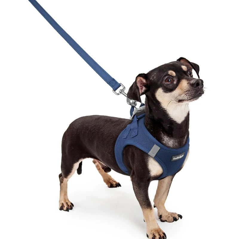rabbitgoo Harnais à enfiler XXXS pour petit chien avec longe – Maille respirante, réflectif, Bleu Nuit