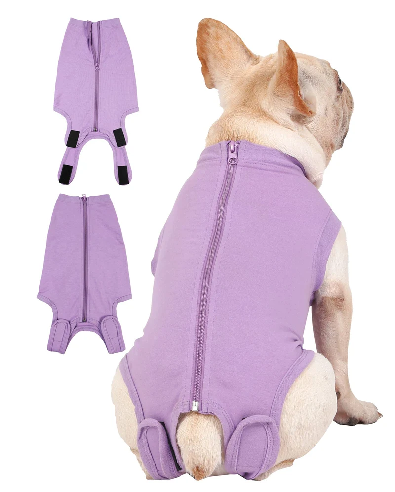 Caslfuca Combinaison post-chirurgie pour chien – récupération confortable sans cône