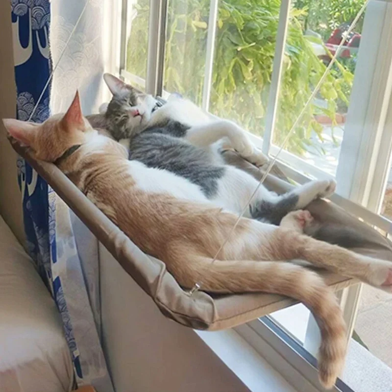 Hamac pour chat fenêtre suspendue