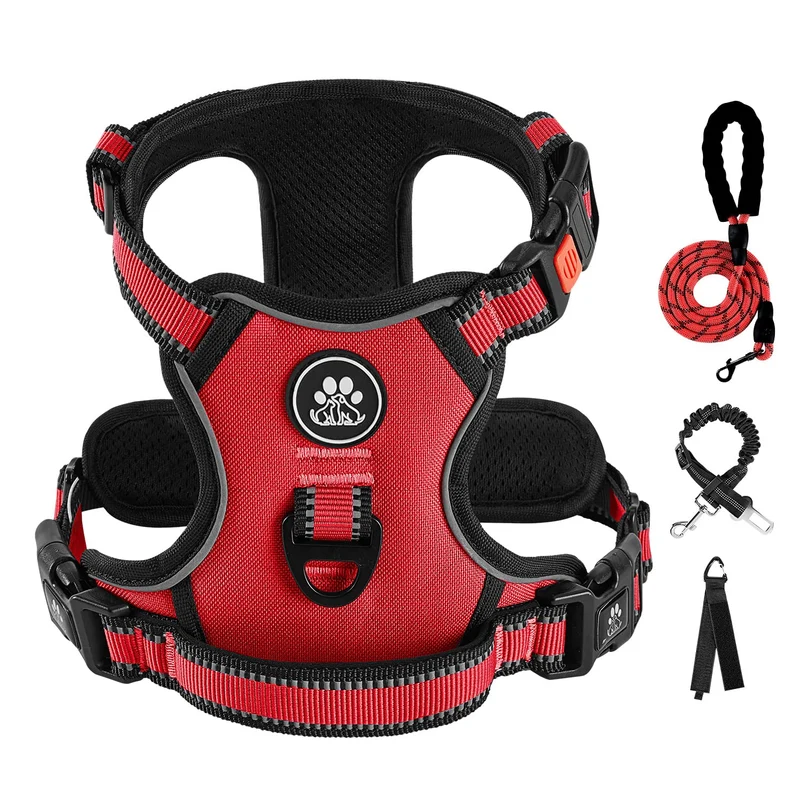 IVY&LANE Harnais anti-traction pour petit chien – Laisse, sécurité et réflectif 360°
