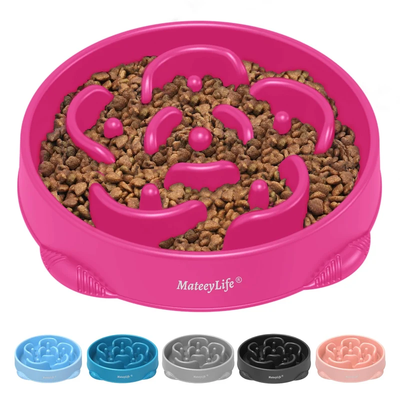 MateeyLife Bol ralentisseur grand format — Puzzle anti-étouffement, anti-glisse, 4 tasses, violet