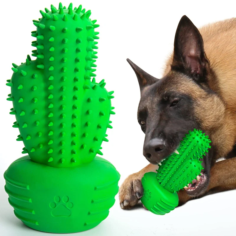 Pamlulu – Jouet Brosse Dentaire pour Chien | Nettoyage Dents et Jeu Interactif (Moyen et Grand)