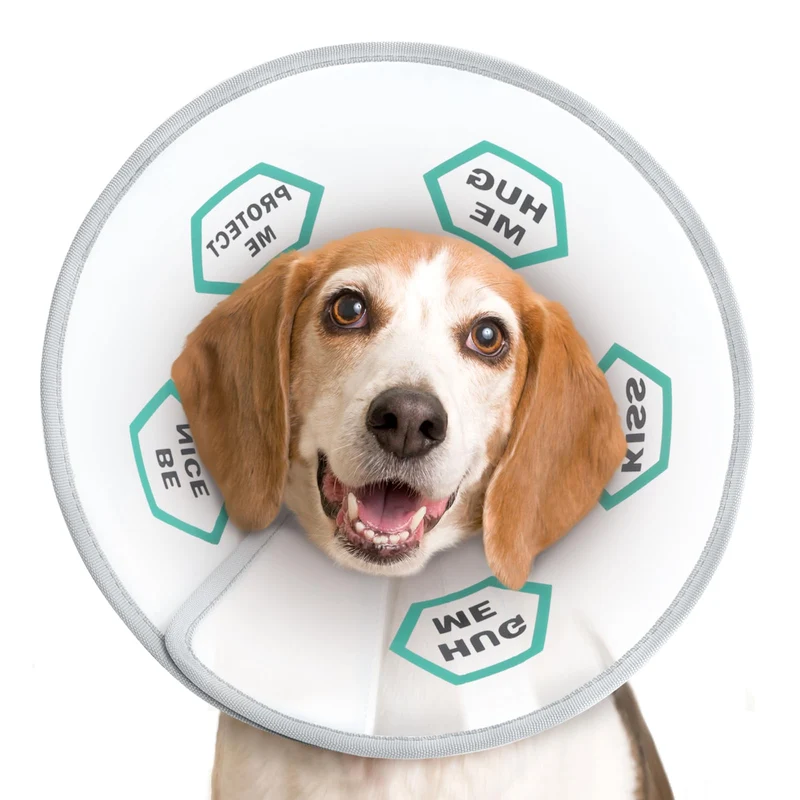 Supet Colerette Elizabeth pour Chien – Protection Après Chirurgie, Taille L, Réglable