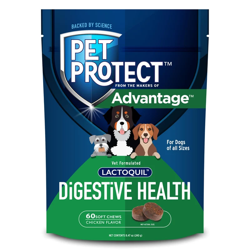 Pet Protect Digestive Health — Probiotiques pour chiens, friandises molles au poulet (60 bouchées), formule vétérinaire Lactoquil