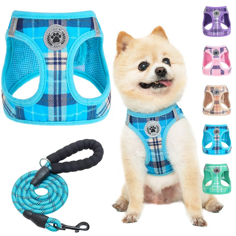 BEAUTYZOO Harnais et Laisse pour Petit Chien Bleu – Enfiler Facile, Anti-Tir, Réfléchi