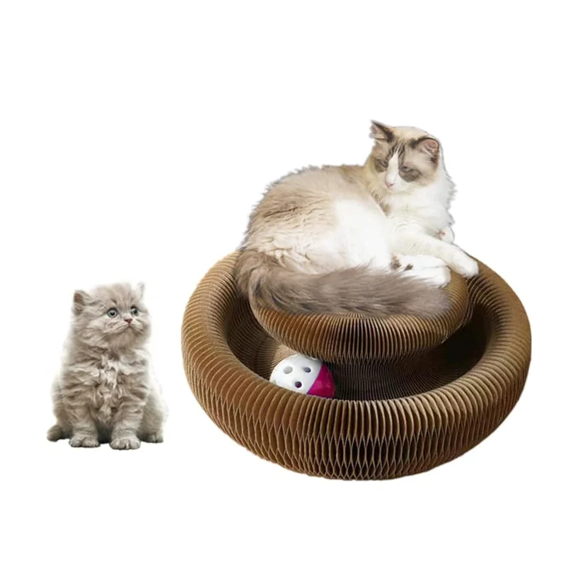 Enkman Kitty Kurlz Organ Magique : Grattoir Chat et Balle pour Intérieur