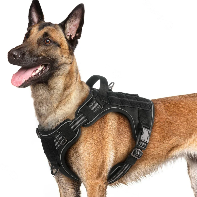 Rabbitgoo Harnais Chien Grand – Anti-Pull, Molle et Poignée de Contrôle