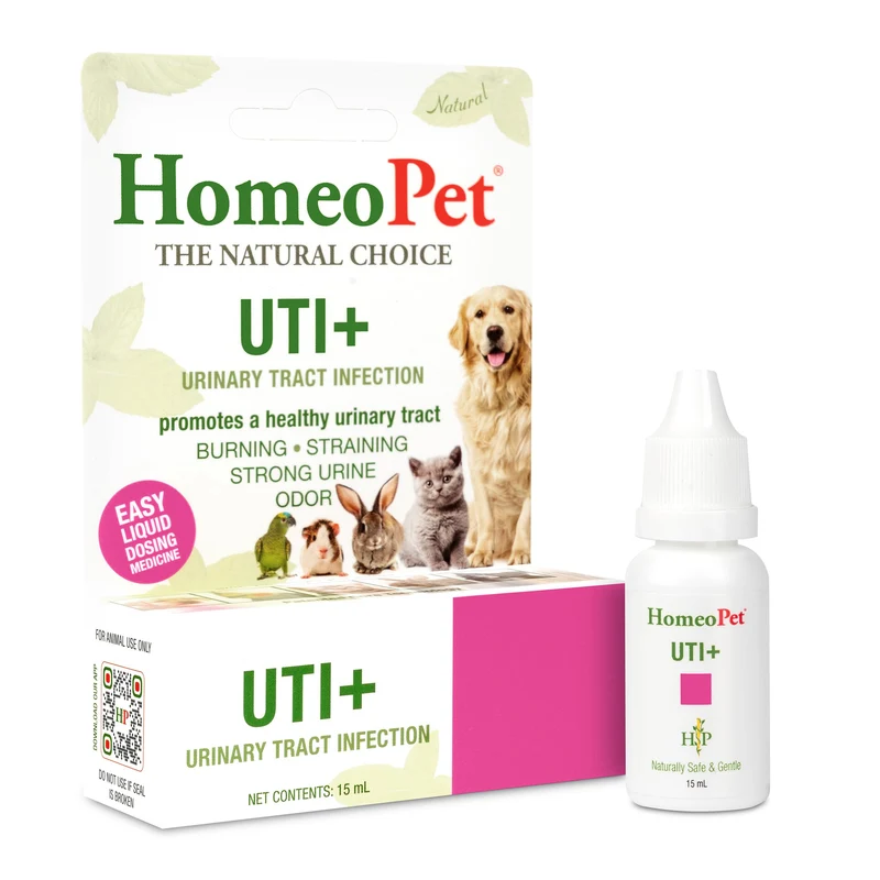 HomeoPet UTI+ – Soutien des voies urinaires, supplément naturel pour chiens et chats, 15 ml