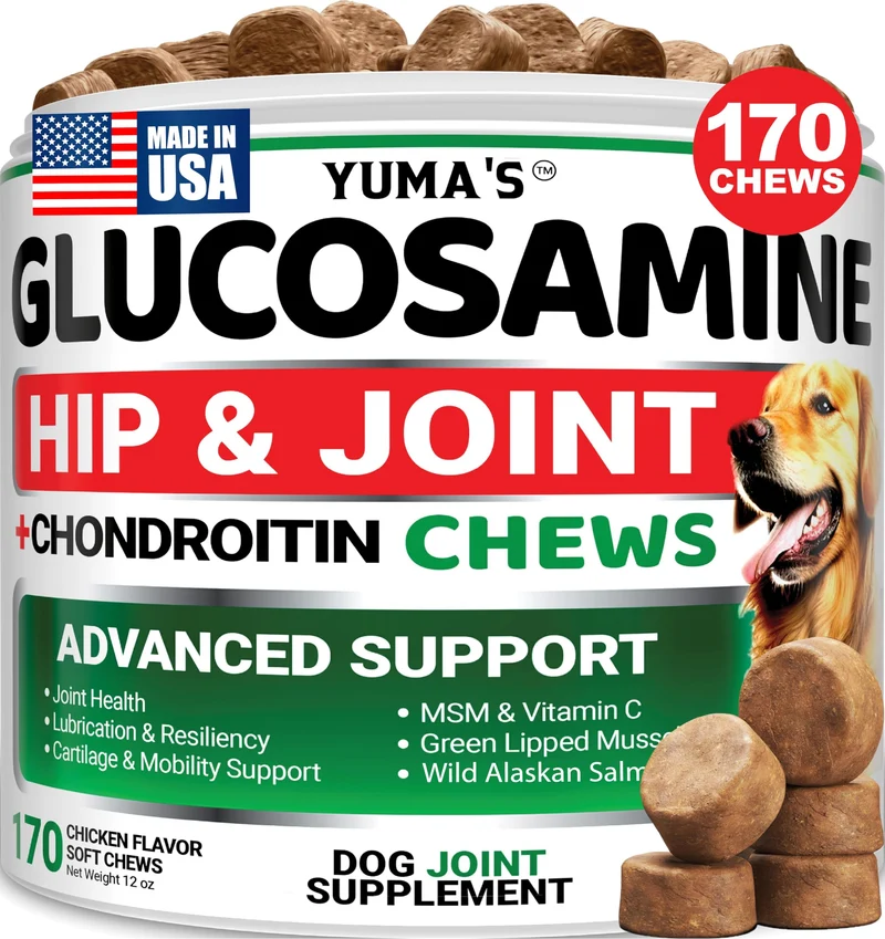 YUMA'S Glucosamine pour Chiens – Complément Hanches et Articulations – 170 bouchées – Chondroïtine, MSM – Fabriqué aux États-Unis