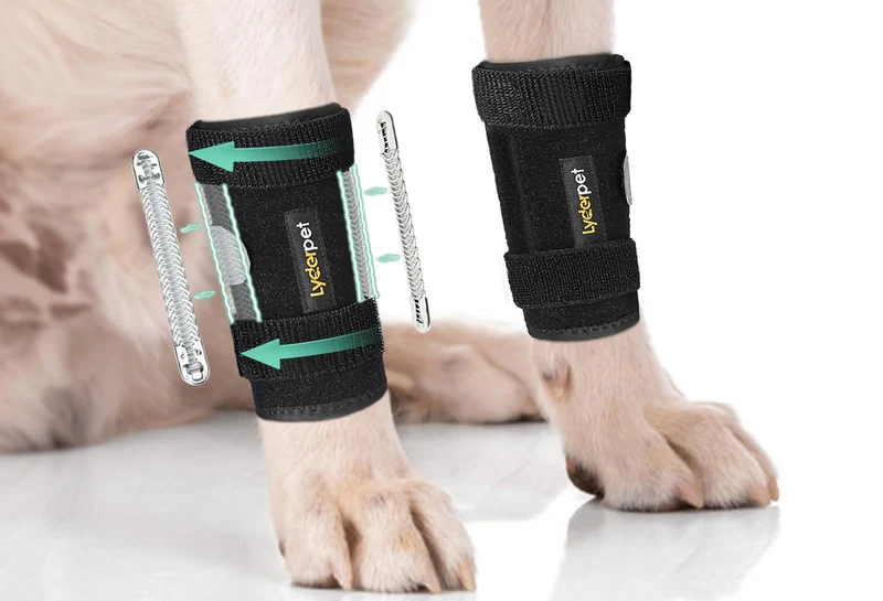 Lyderpet Orthèse Patte Avant pour Chien — Brace Carpe et Stabilisation