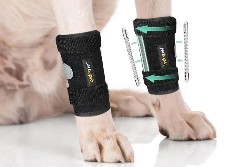 Lyderpet Attelle pour Patte Avant du Chien – Soutien Carpe et Poignet, Protection et Stabilité