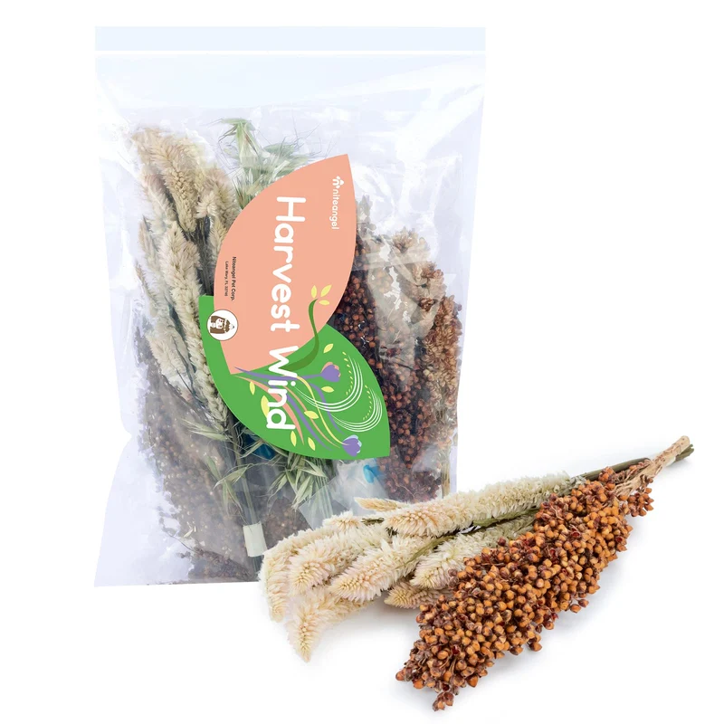 Niteangel Garnissage Fleurs Naturelles – Litière Douce et Décor Floral pour Petits Animaux