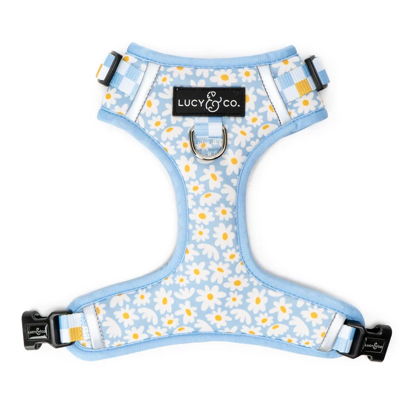 Lucy & Co. Harnais sans tirage – Taille Small – Veste ajustable pour promenades faciles et contrôle