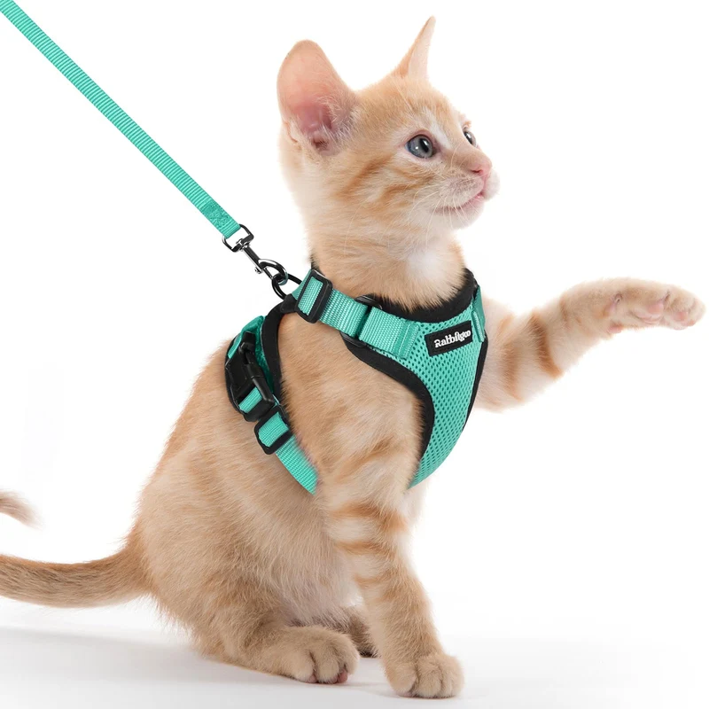 Rabbitgoo Harnais et Laisse pour Chat – Anti‑évasion, Respirant, Émeraude, Taille XXS