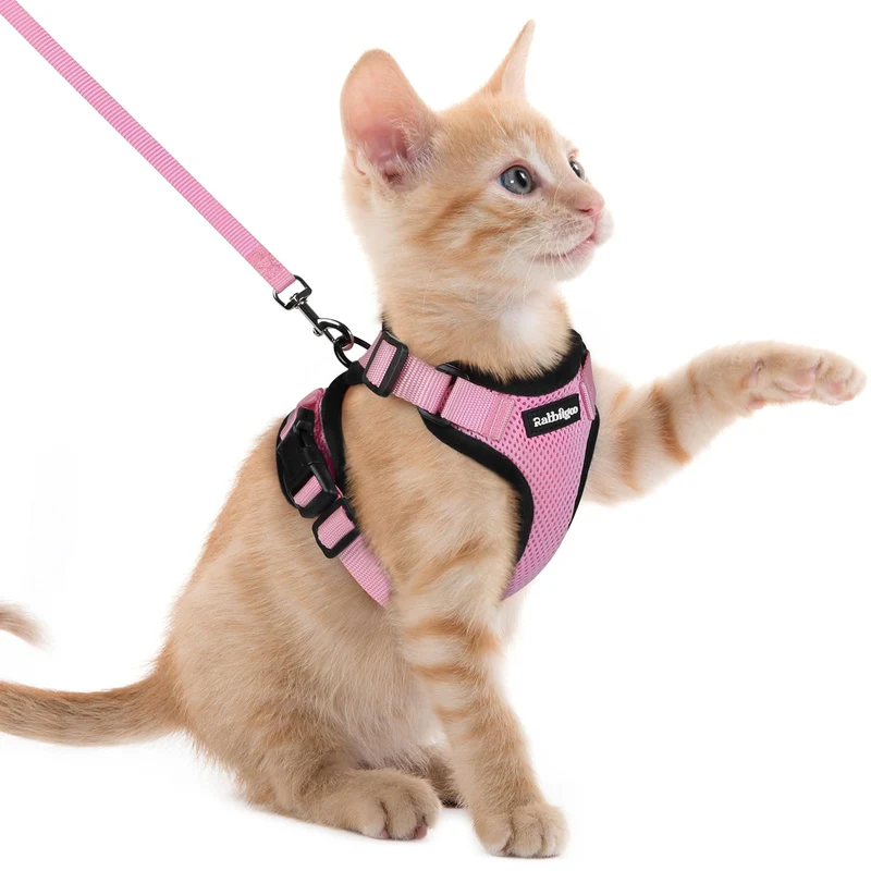 Rabbitgoo Harnais pour Chat Rose XXS – Anti-Évasion, Laisse Incluse, Respirant et Bandes Réfléchissantes