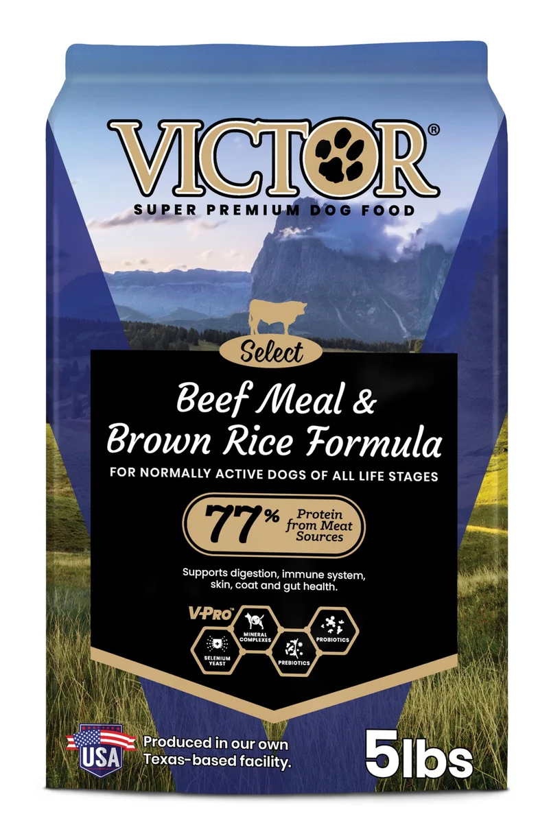 VICTOR Croquettes Super Premium – Boeuf et Riz Brun, Formule Sans Gluten pour Chiens Actifs de Tous Âges (5 livres)