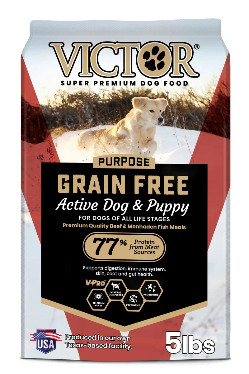 VICTOR Super Premium – Nourriture pour Chiens Actifs et Chiots, Sans Céréales, 33% Protéine, Sac 5 lb