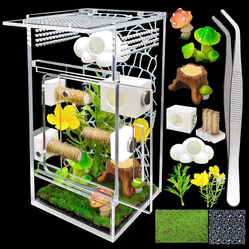 KFPSHLQE Enceinte araignee sauteuse en verre – Habitat a assembler vert (2)