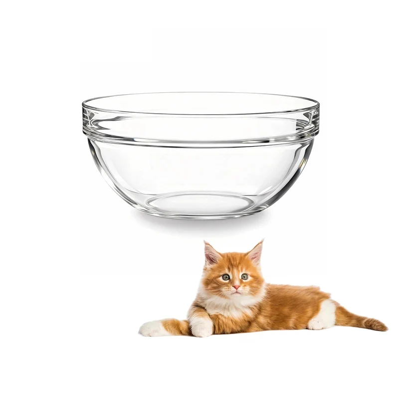 Feoyoho Bol en Verre de Remplacement pour Support Feoyoho 3,75 po – Petit, 400 ml (13,7 oz) – Lavable au Lave-Vaisselle et Micro-ondes