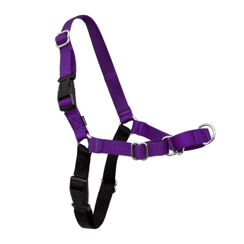 PetSafe Easy Walk Harnais pour Chien – Marche Sans Traction, Attache Devant, Confort Léger
