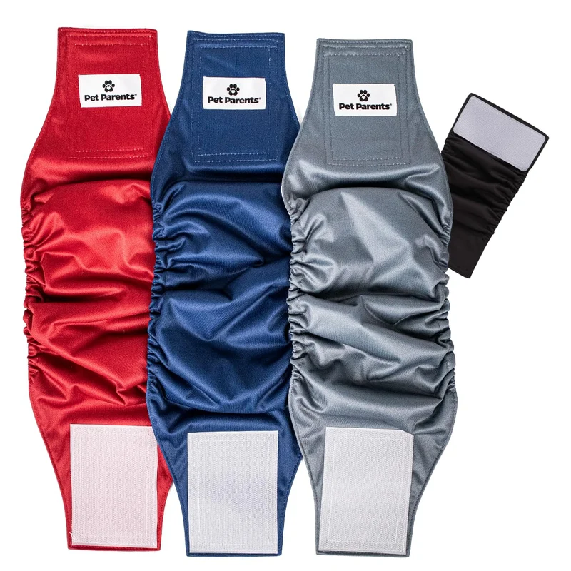 Pet Parents® Bandes Mâles Lavables (3 Pièces) + Extendrs – Couches pour Chiens Mâles (Taille Moyenne Kingsmen)