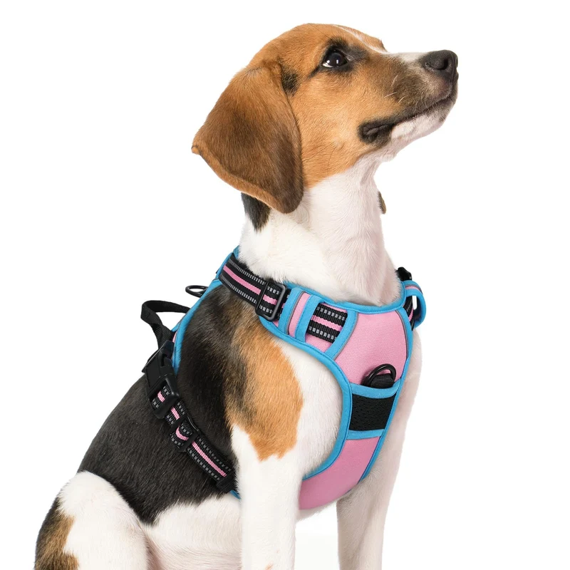Rabbitgoo Harnais anti-traction pour chien moyen – 2 attaches, rembourré, sans étranglement, poignée de contrôle – Rose & Bleu – Taille M